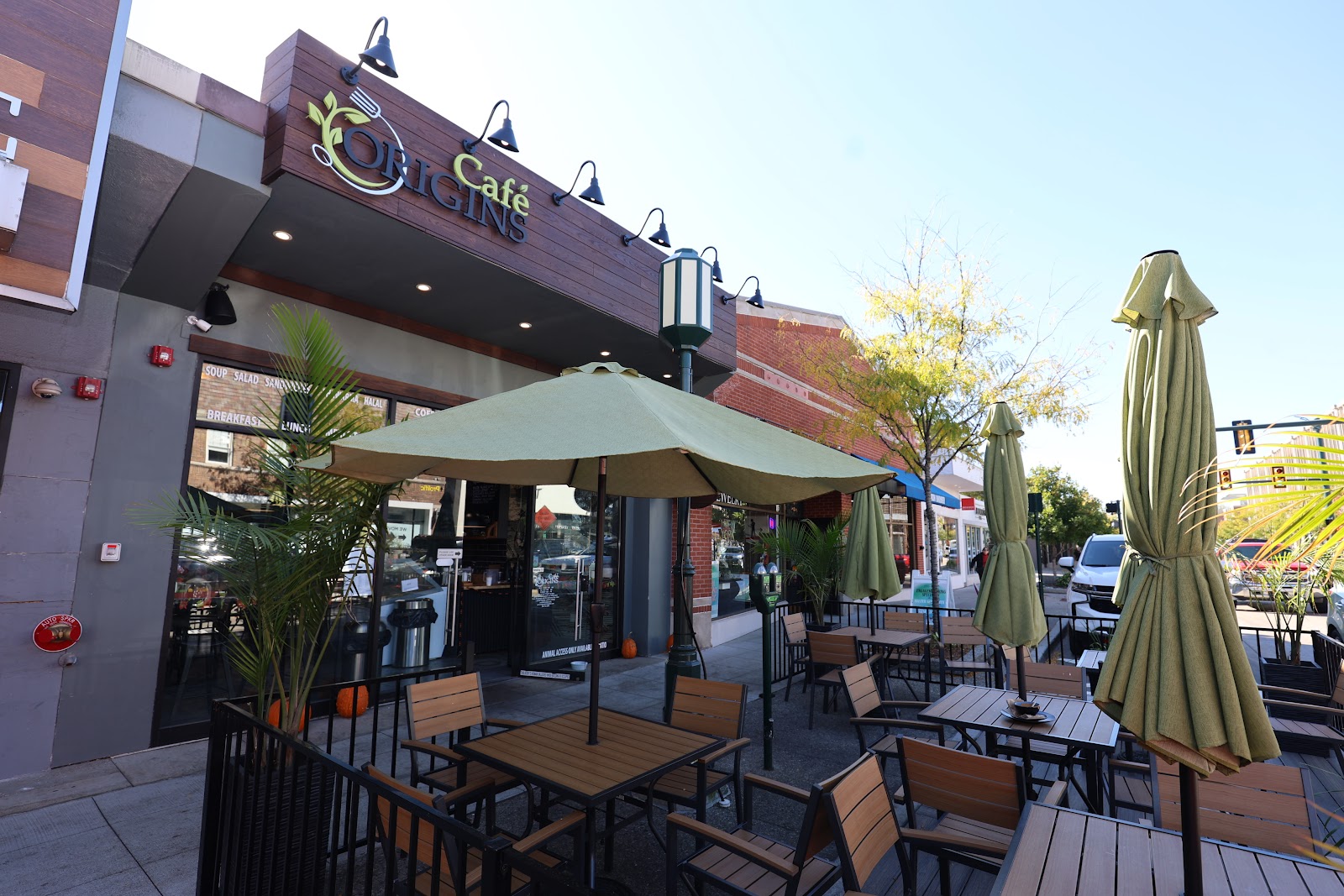 Cafe Origins in Birmingham