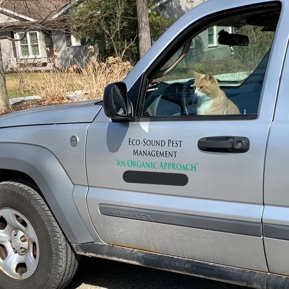 Eco-Sound Pest Management in Birmingham