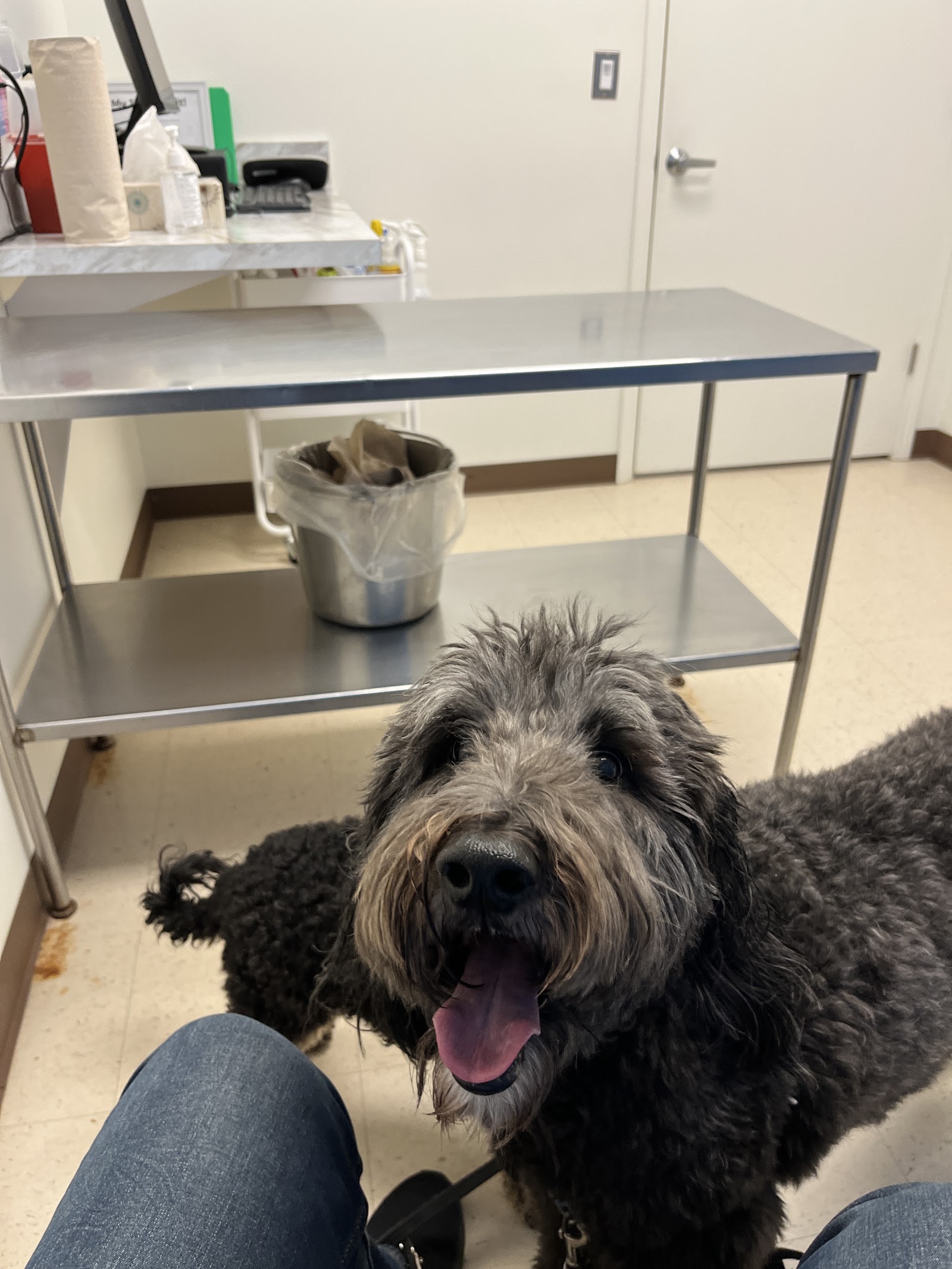 Gasow Veterinary Hospital — photo