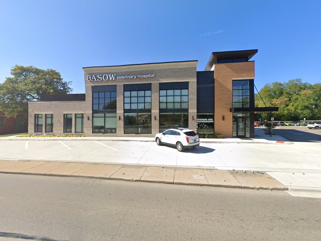 Gasow Veterinary Hospital: Mangner James DVM in Birmingham