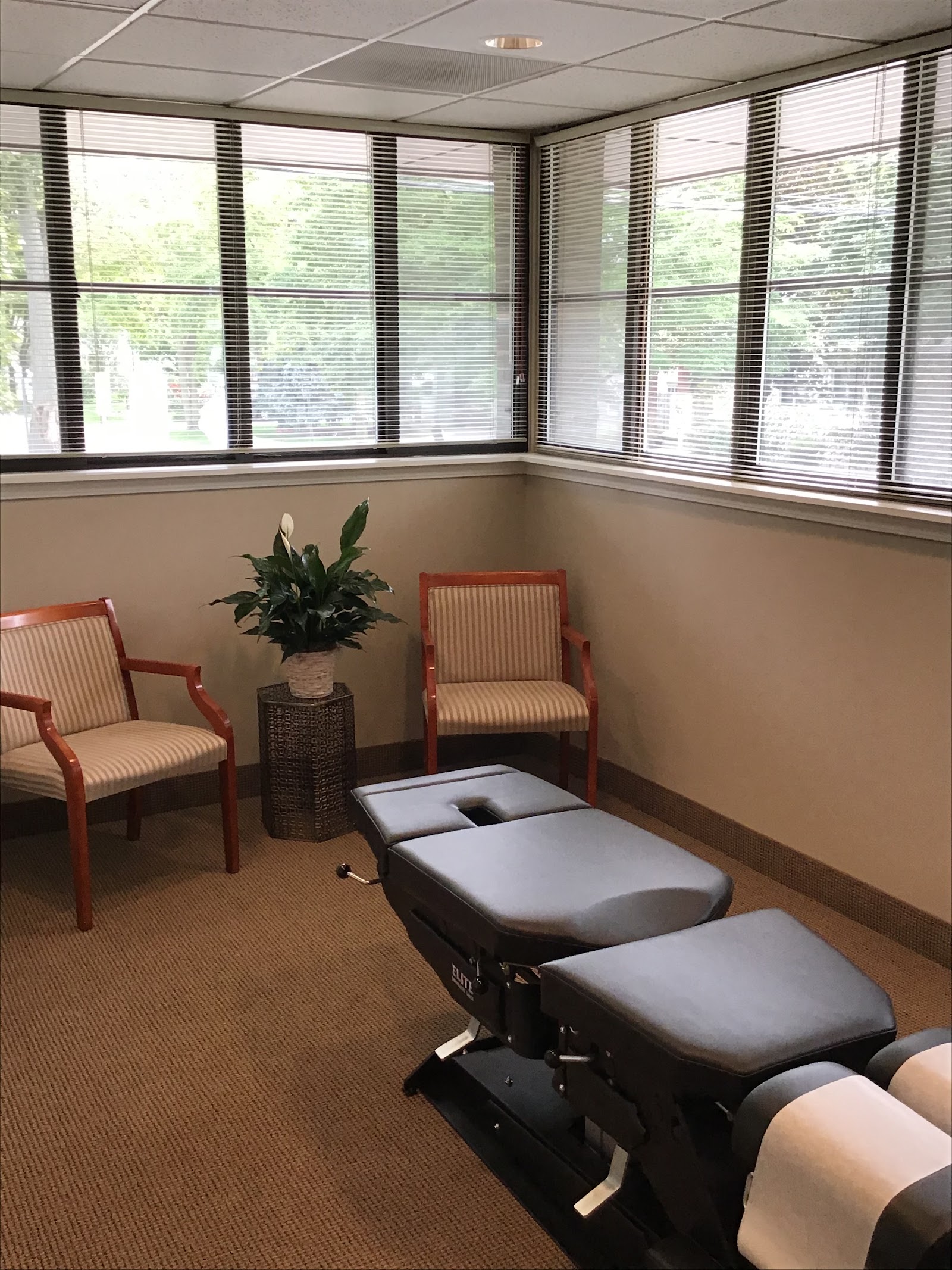 Holistically Well Chiropractic in Birmingham
