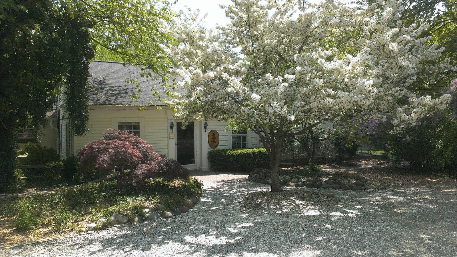 Jagersbo Kennels in Troy