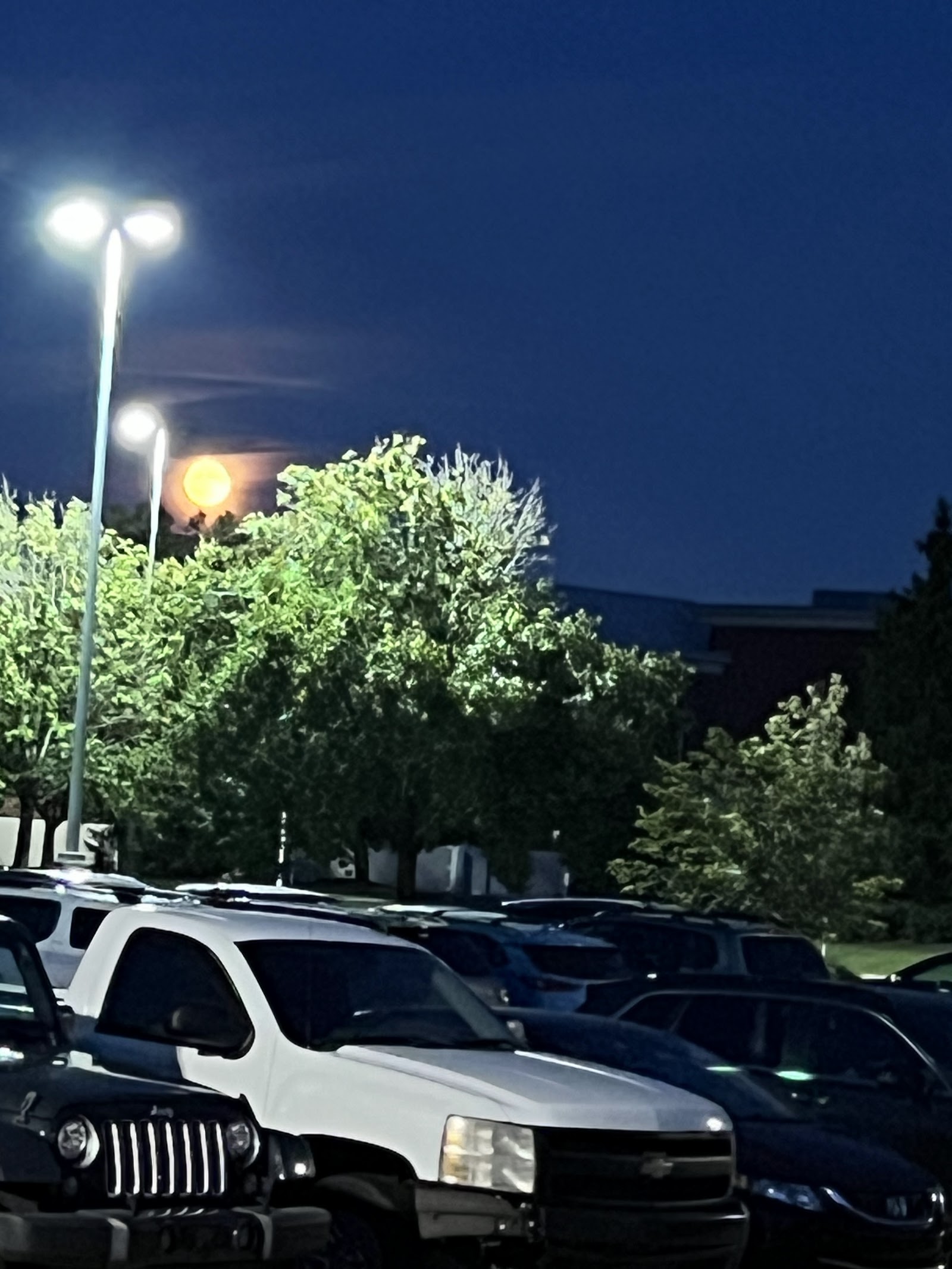 Secured Storage in Troy