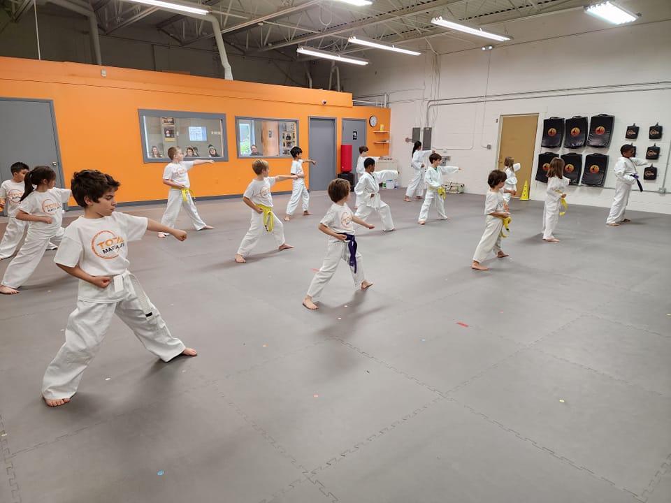 Total Martial Arts Birmingham in Birmingham