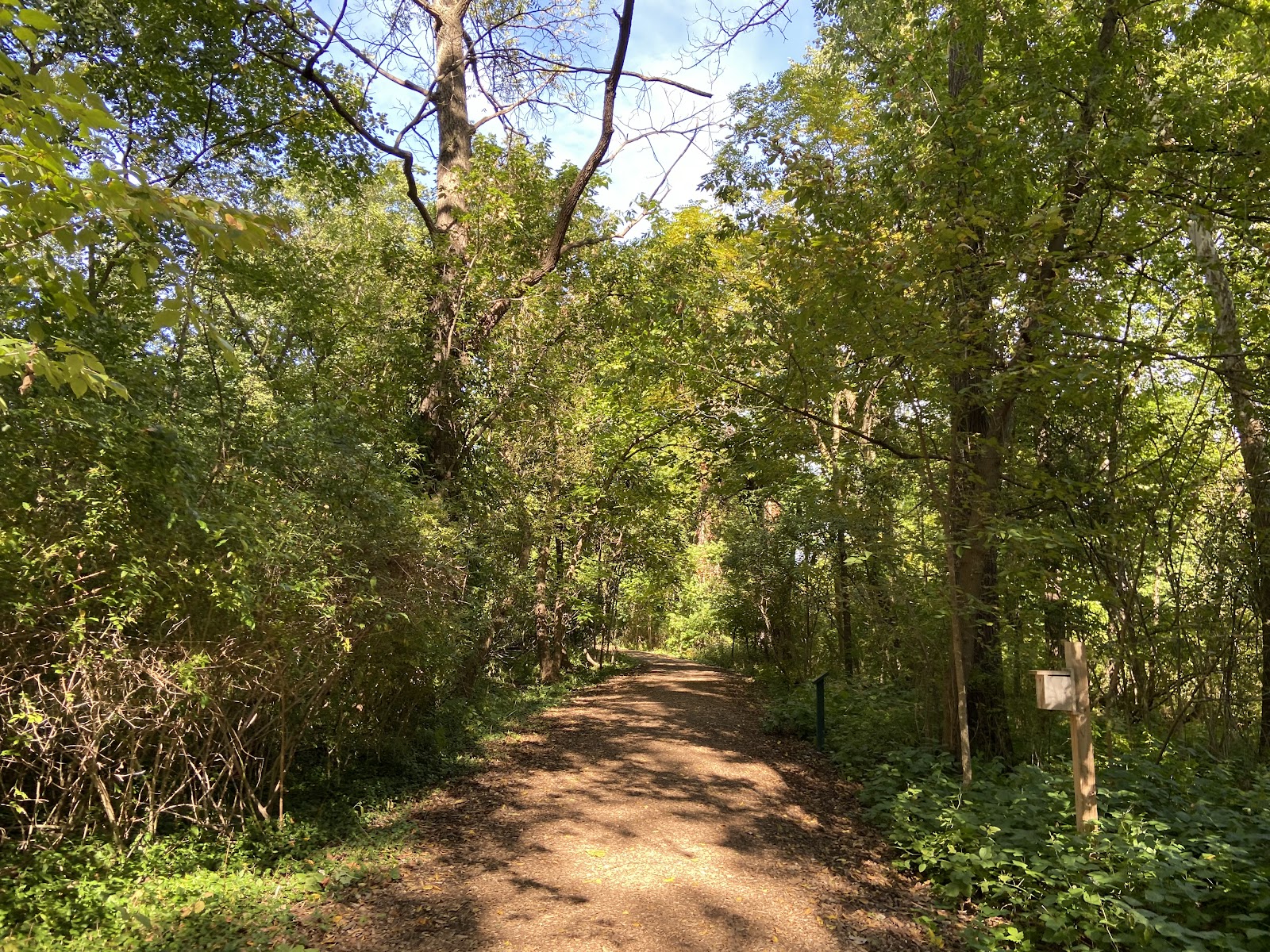 Linden Park in Birmingham